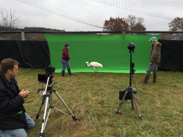 International Crane Foundation – Chroma Project