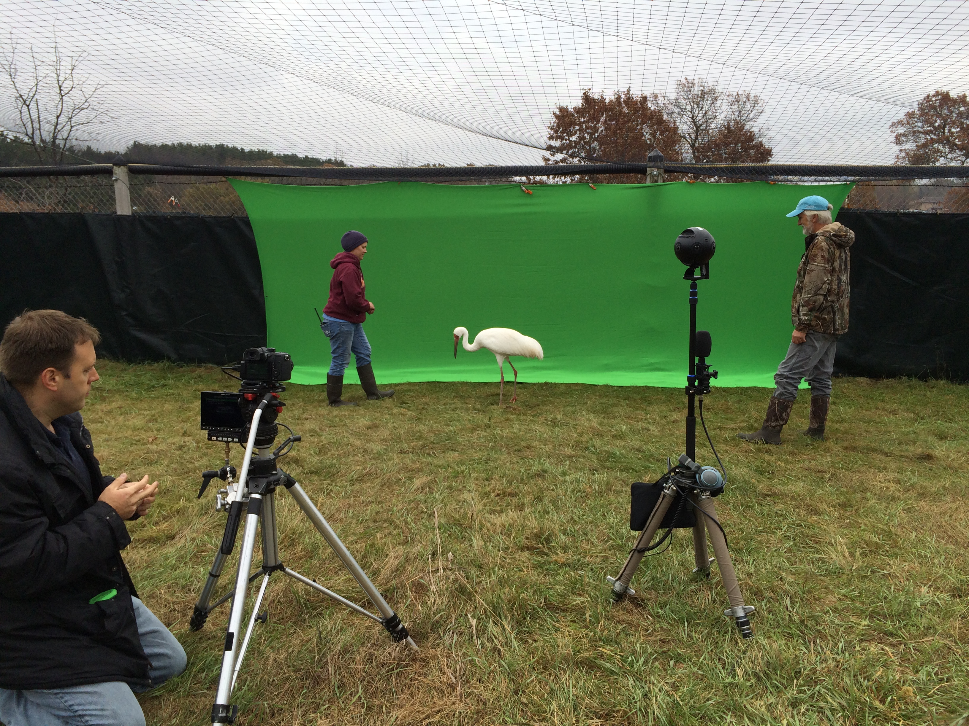 International Crane Foundation – Chroma Project